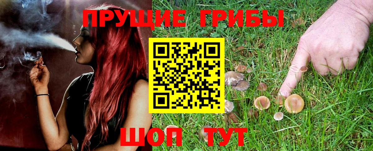 Псилоцибиновые грибы мицелий  Вход с VPN  Хасавюрт 