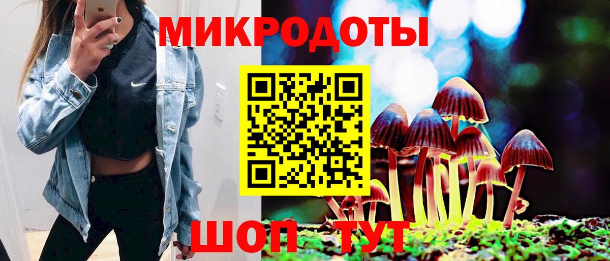 Галлюциногенные грибы Cubensis Хасавюрт